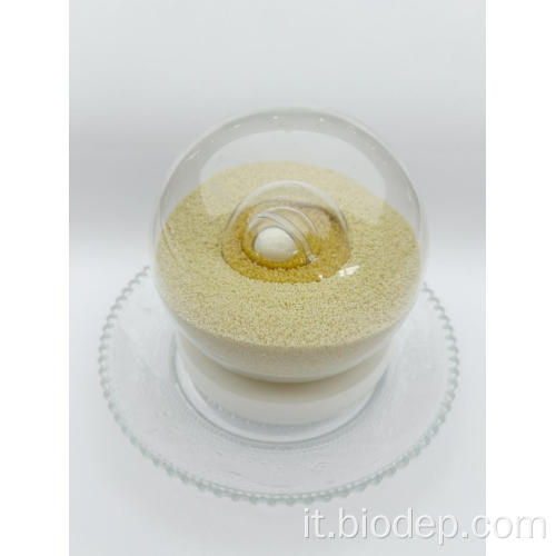 Lactobacillus acidophilus 100 miliardi di cfu/g